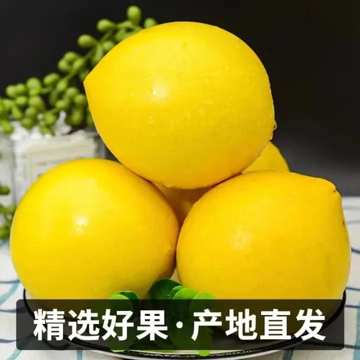 【产地直发】云南黄晶果冬蜜新鲜稀有黄金果罕见黄晶牛奶热带雨林