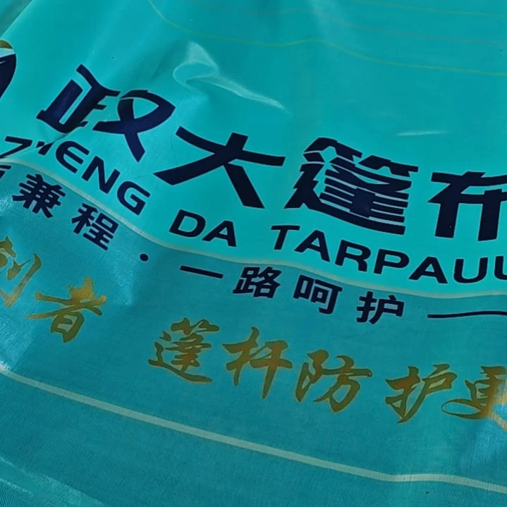 绒质66666666666666666666666666666666666666