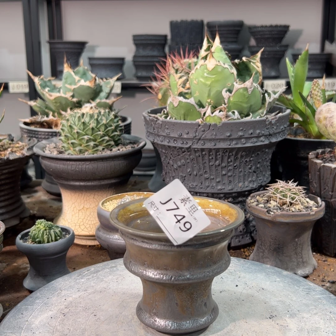 景德镇手工素里内口10.5高9.3