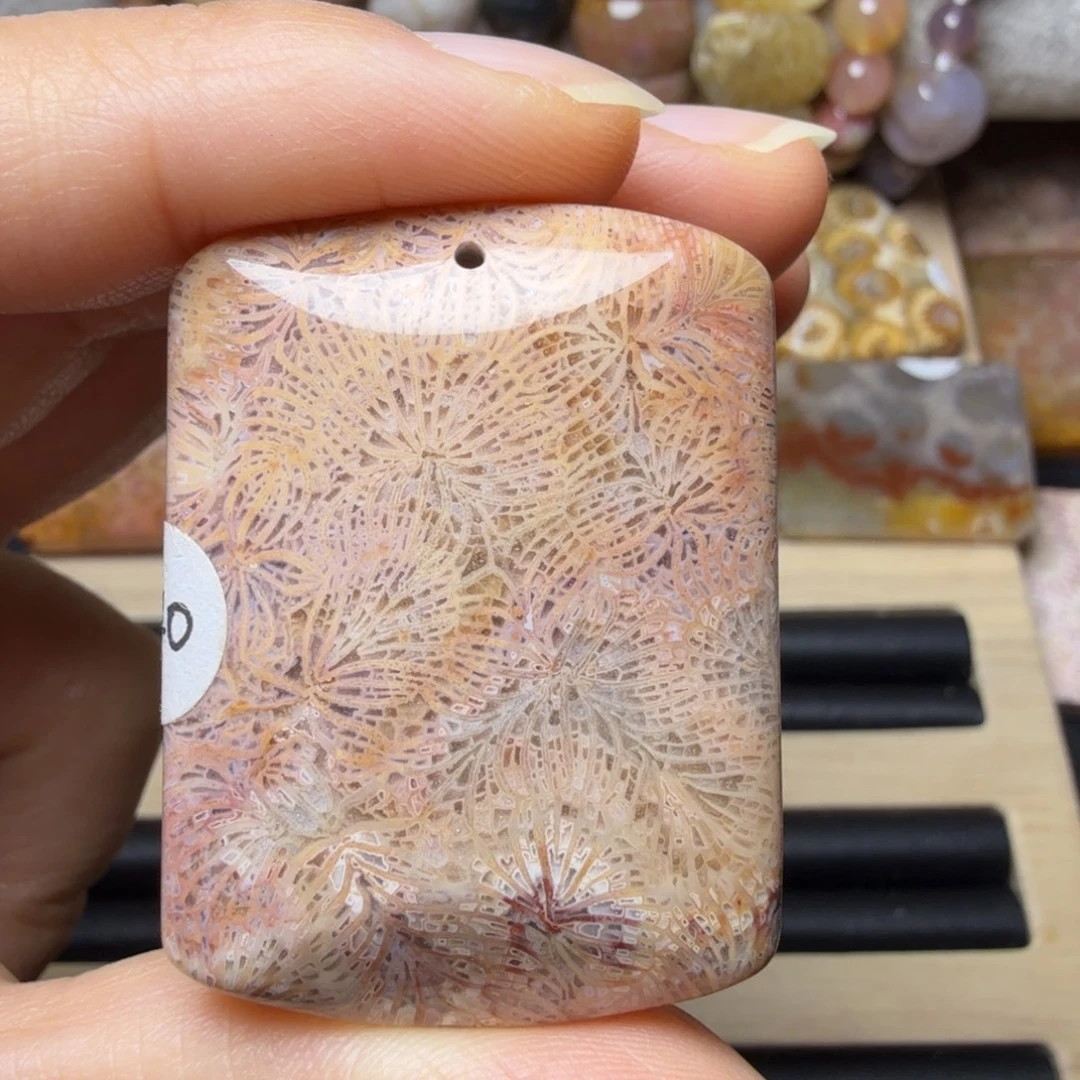 硅化玉未镶嵌秋冬的柏树