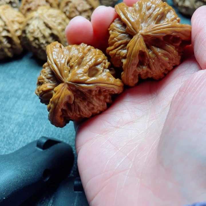 今***天手工三棱白狮子三棱