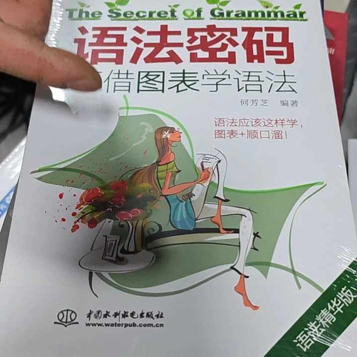 语法密码平装库存书