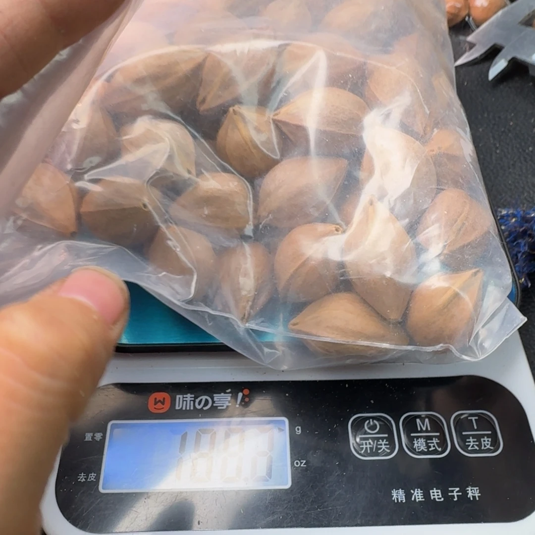 天***t手串/手链橄榄核1