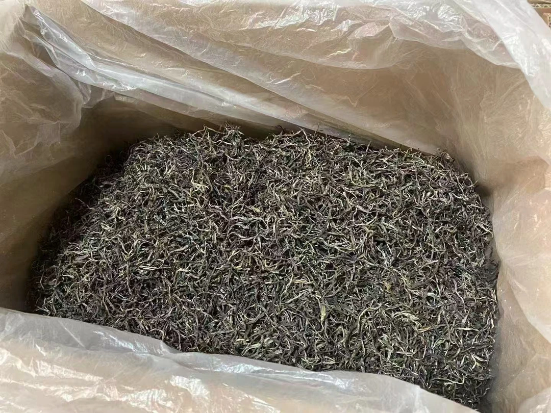 易武天门山高杆古树生茶散茶香气浓郁