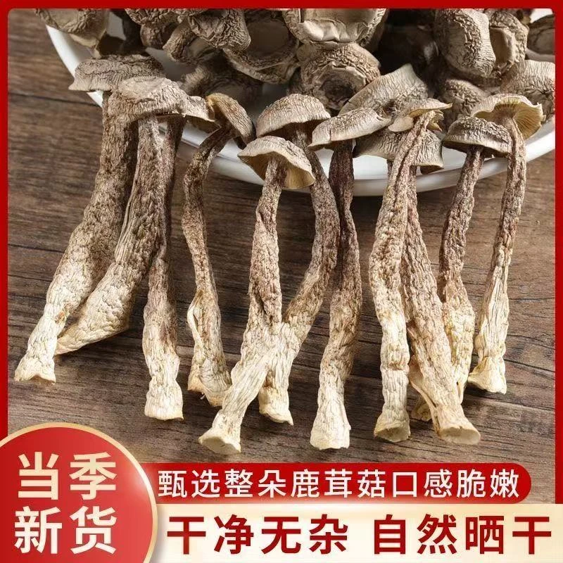 【直播补贴】高山菇干货农家特产煲汤炒菜鲜脆可口鹿茸菇无硫熏XX