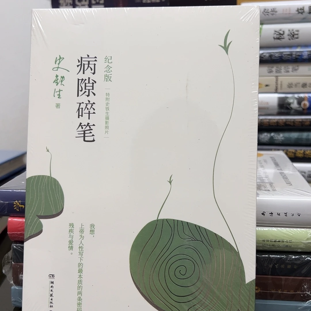 病隙碎笔 平装一手