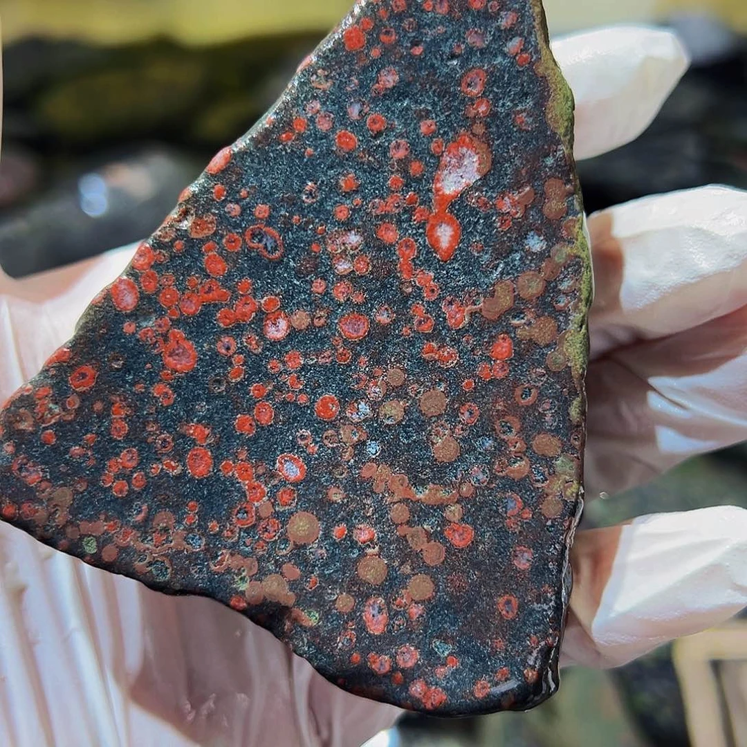 梅花玉鱼缸石茶周边不退不换