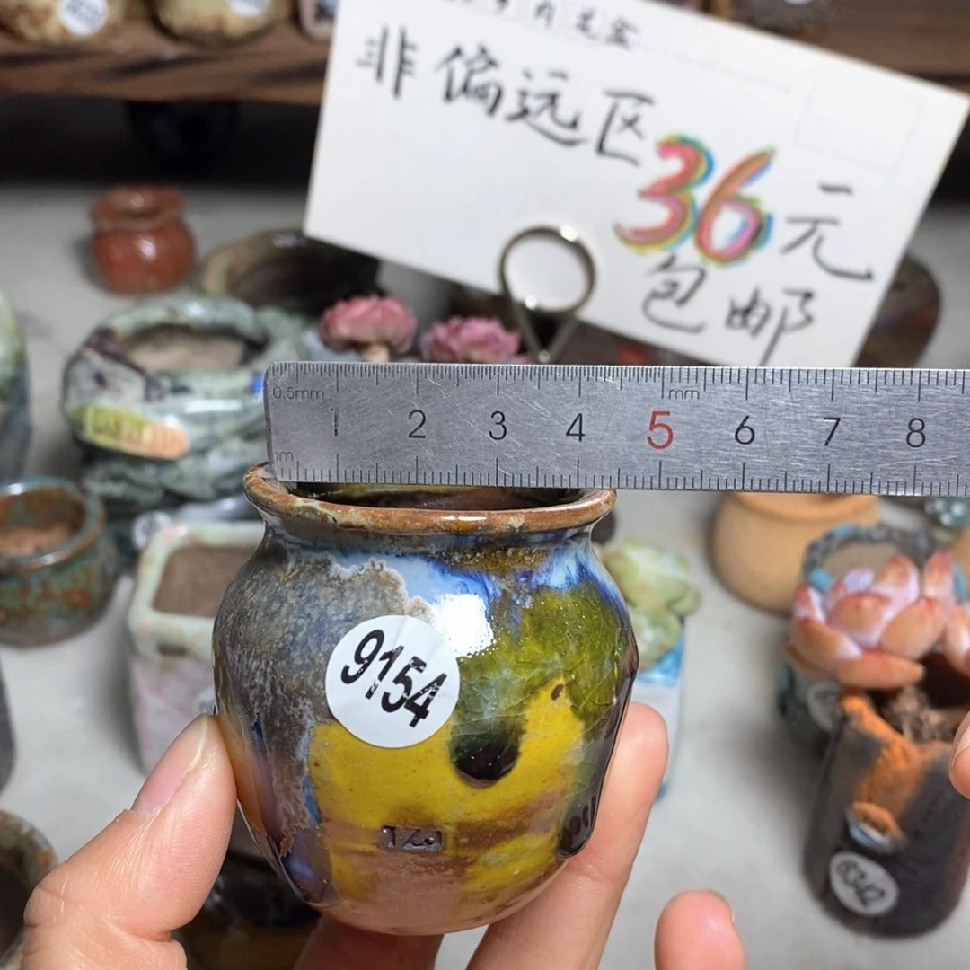 花盆拍5送一个小礼物