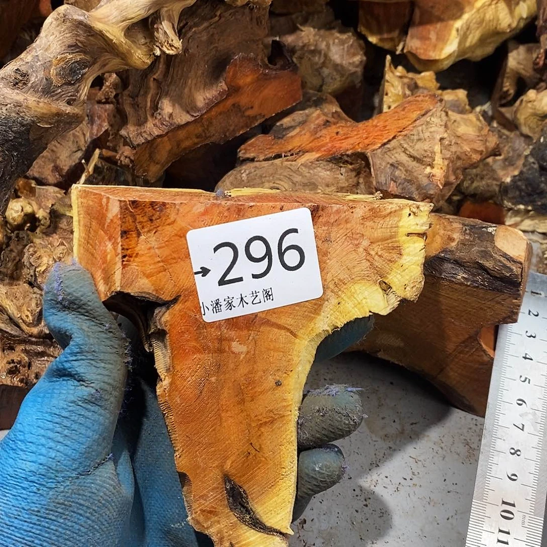 香榧木?*?火琉璃……火琉璃