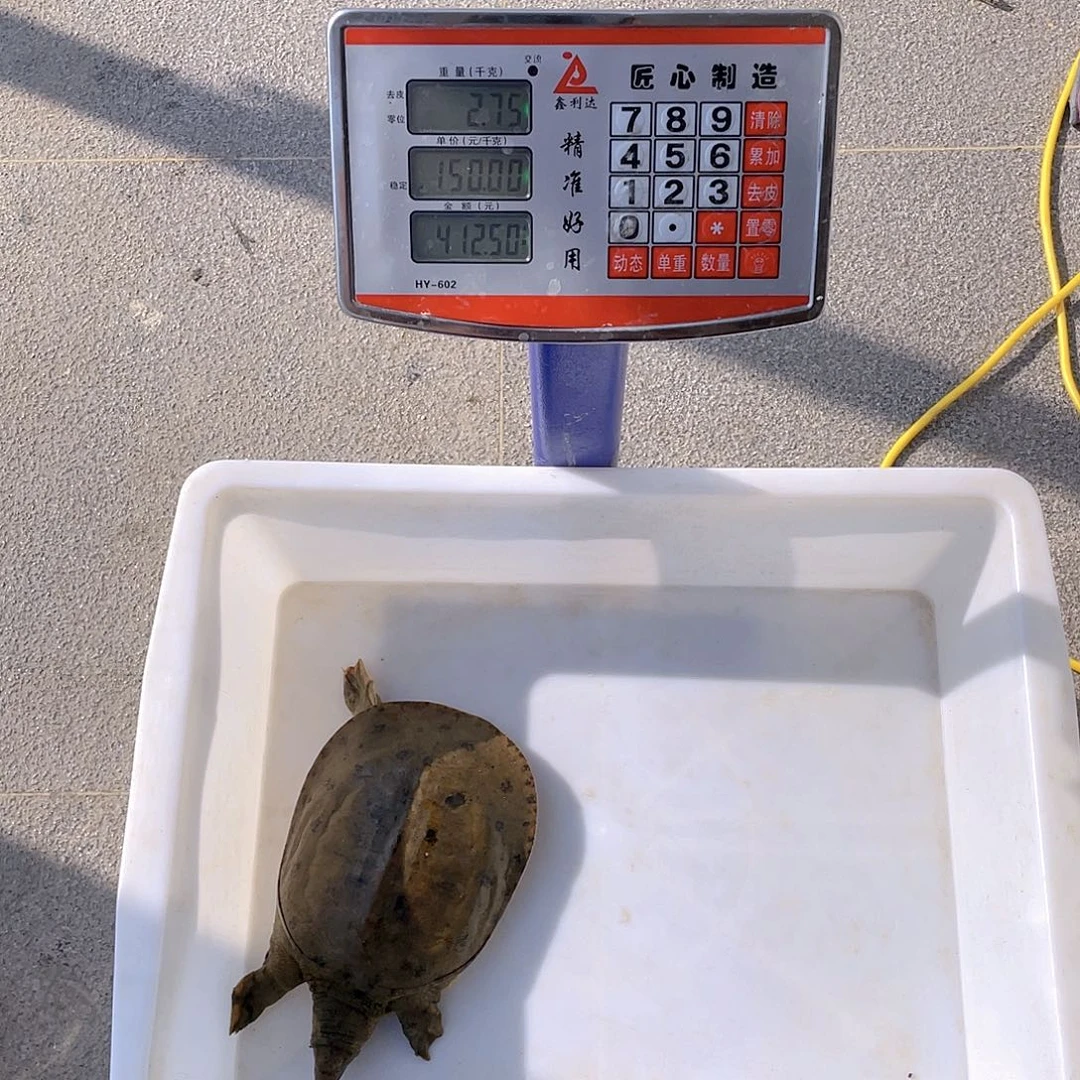 中国大陆4755475674655