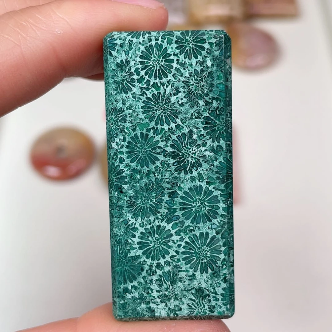 【闪购商品】未镶嵌吊坠(赠链)硅化玉