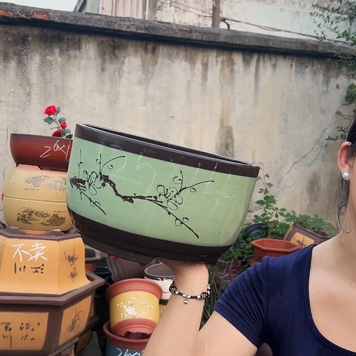 苹果绿萝大号一个