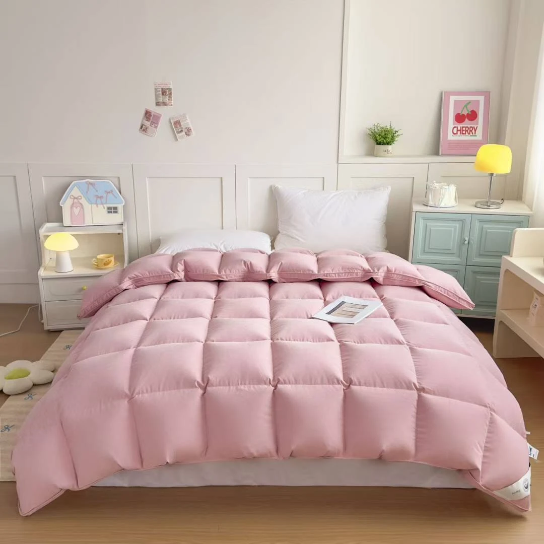 （送工具）加厚海藻棉双层超柔亲肤棉立体边加厚自充被壳