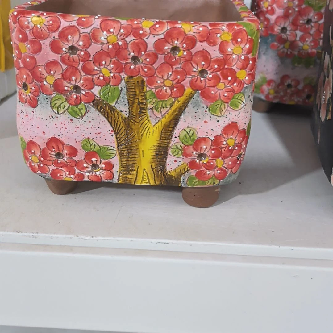 红泥花盆方盆花树