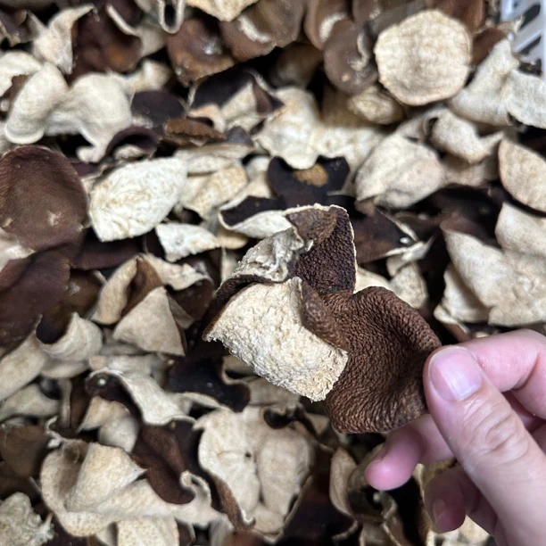 2020年三江驳枝大红皮花香清甜感性价比二线产区陈皮老陈皮新会