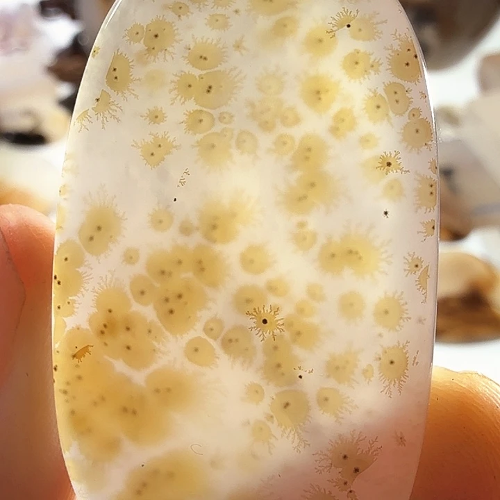 未镶嵌玛瑙/玉髓珠宝半成品