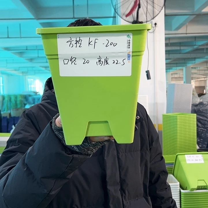 正品方盆口20高22果绿无托6只