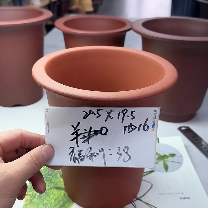 紫砂2222222222222222