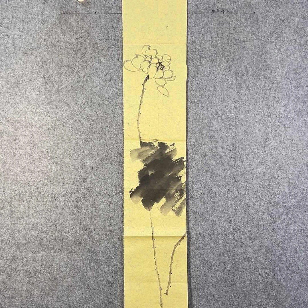 国画208 牡丹花等经济植物和花卉资源