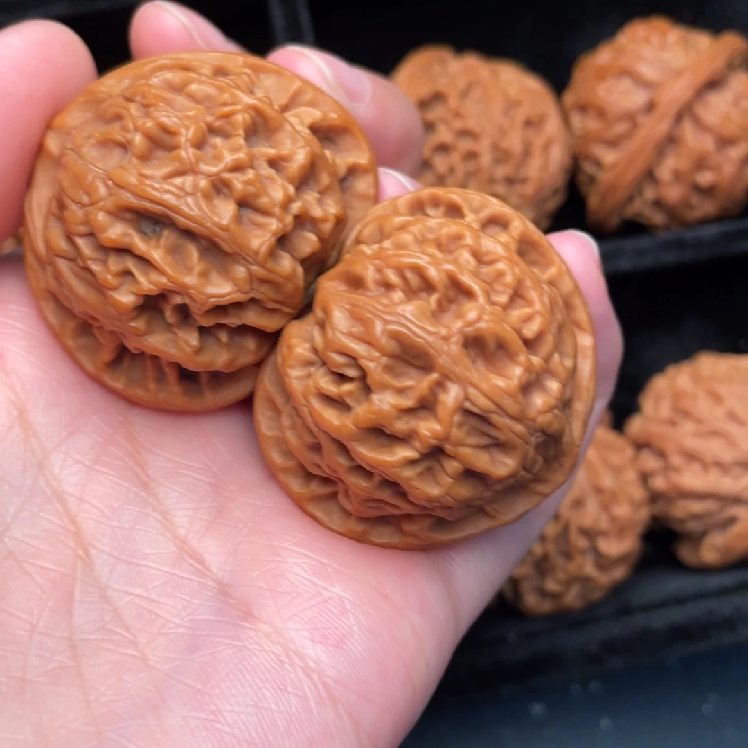 秦岭野生文玩核桃