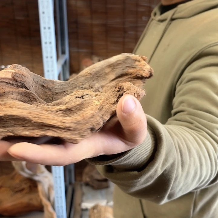 用***6柏木我66666666666