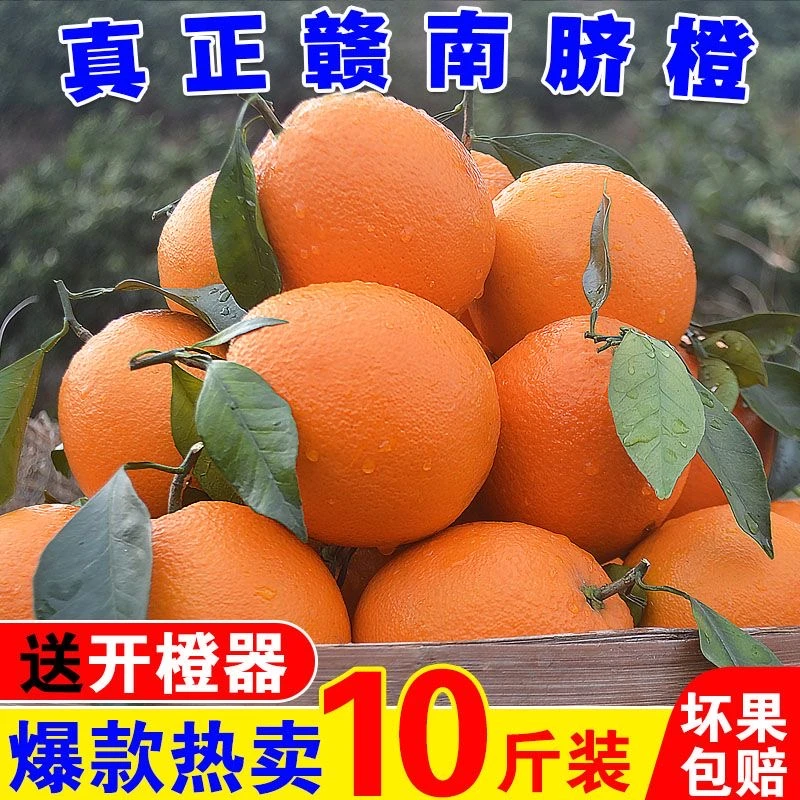 【精品现摘先发】正宗赣南脐橙新鲜赣州橙子不打蜡不催熟新鲜橙子