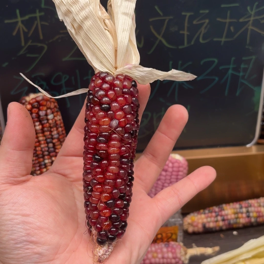 柏香籽/百香籽吊坠古*