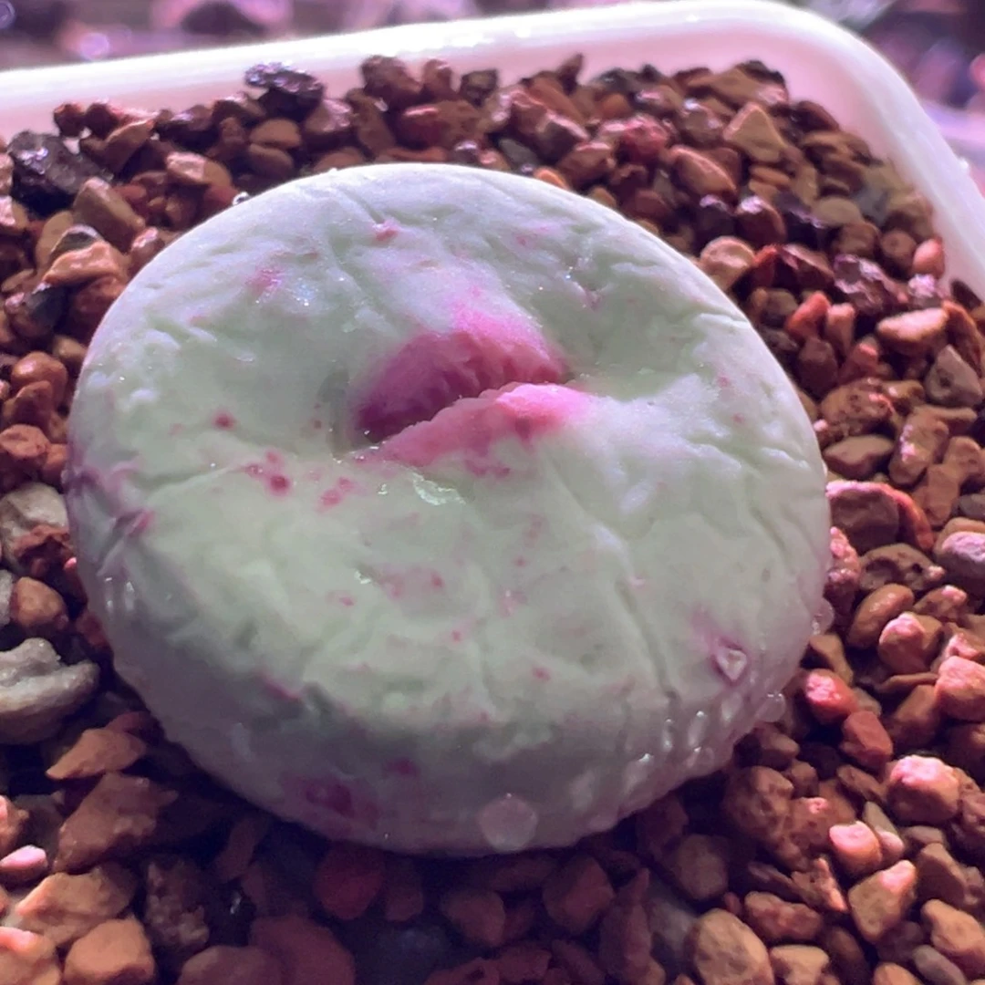 1018，dows嘴，1.8公分