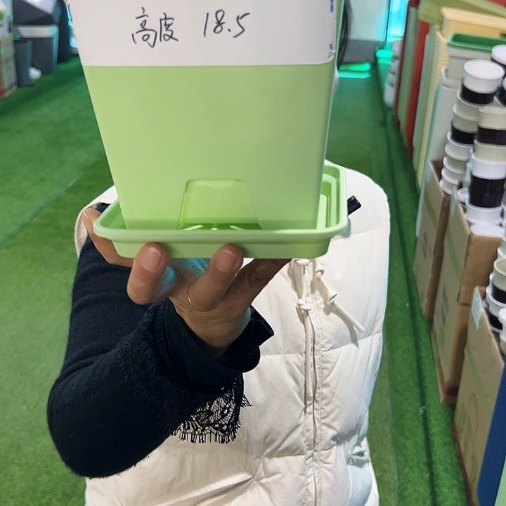 特价方盆口16高18果绿带托5只