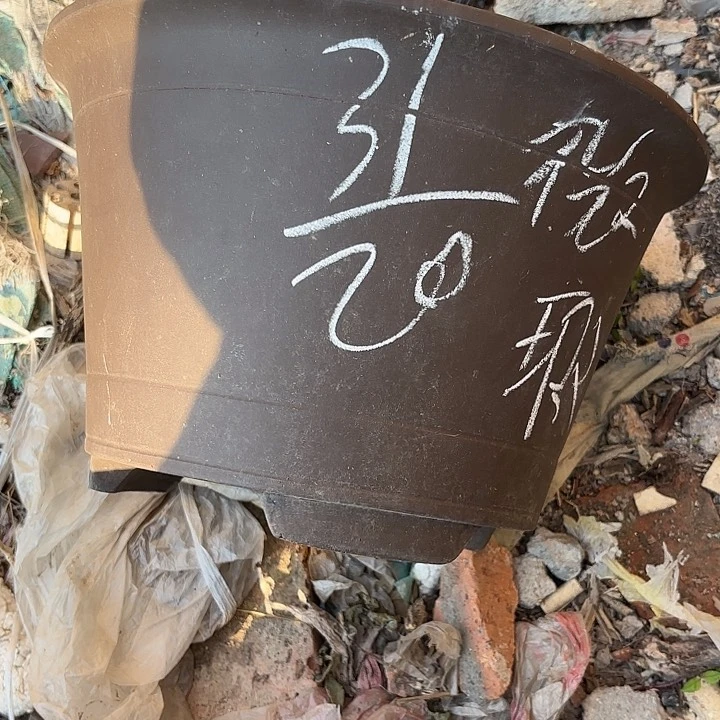 紫泥花盆紫砂花盆