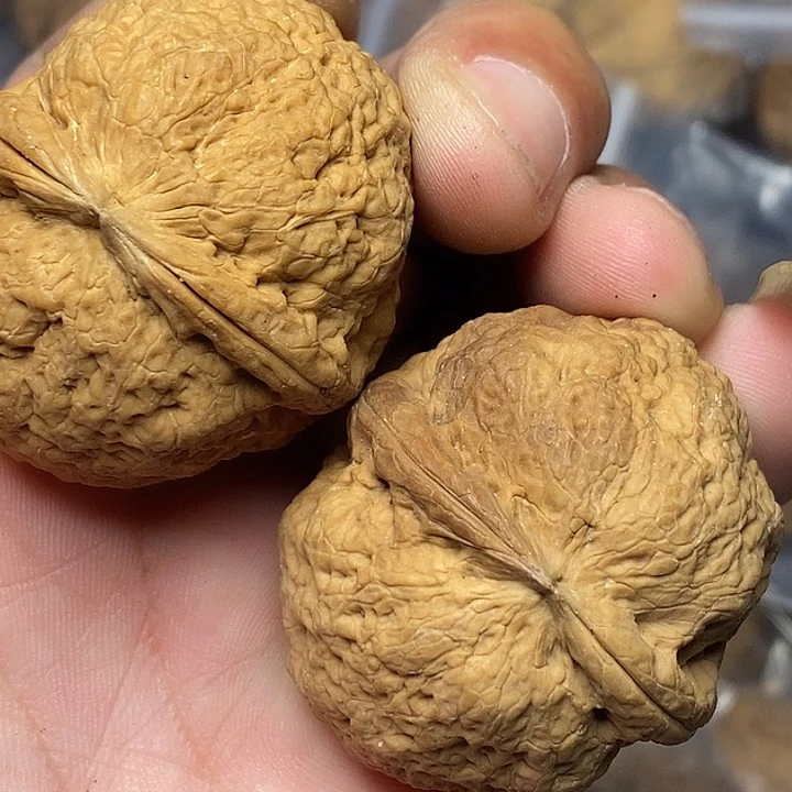 文玩核桃把件云南铁核桃39