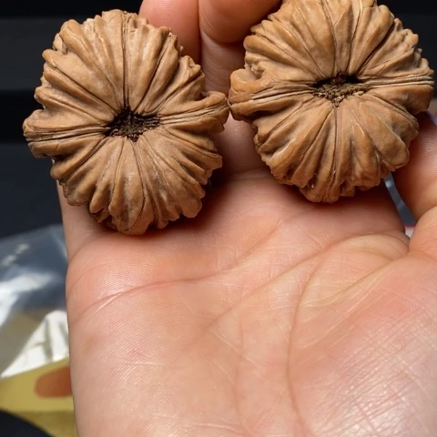 文玩核桃驴打滚尺寸49