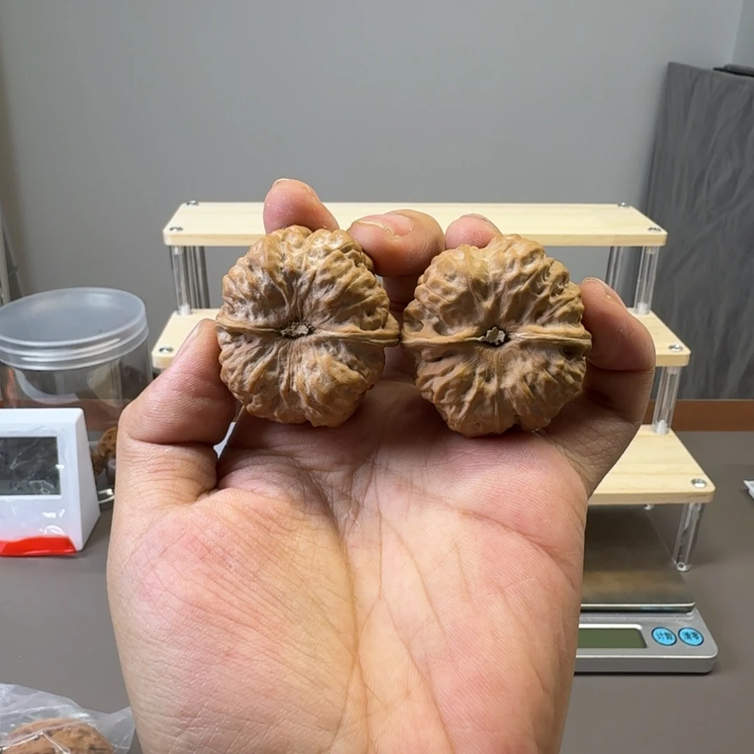 肚41尖修好蛤蟆哈