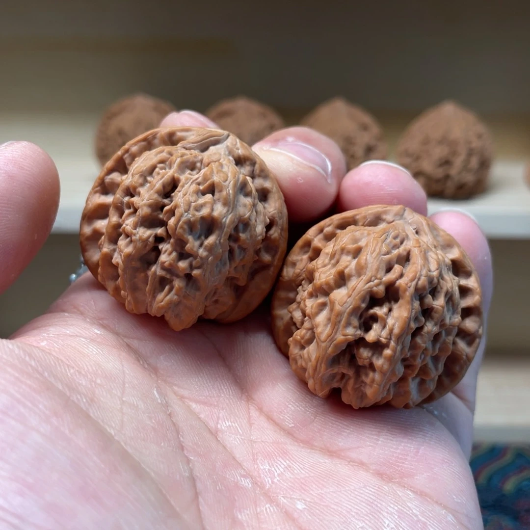 全品三角白狮子头37尺3