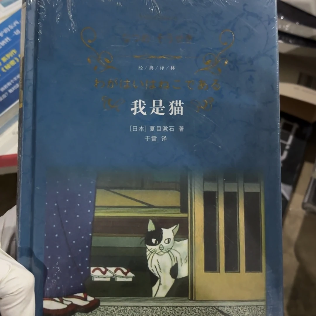 我是猫闪购师傅师傅10