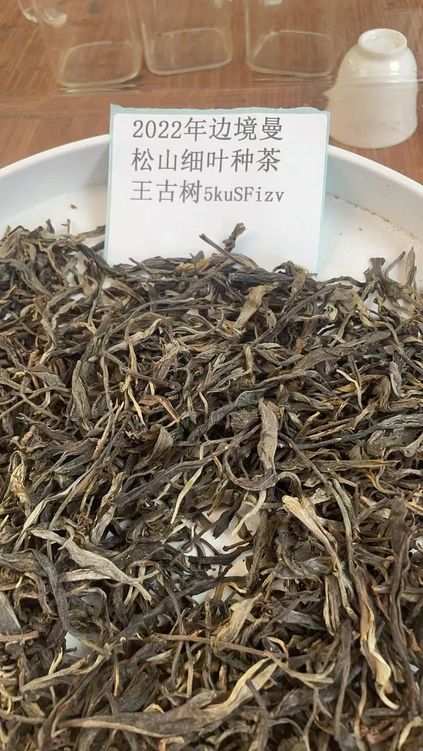2022年边境曼松山细叶种茶王古树散茶5kuSFizv-777