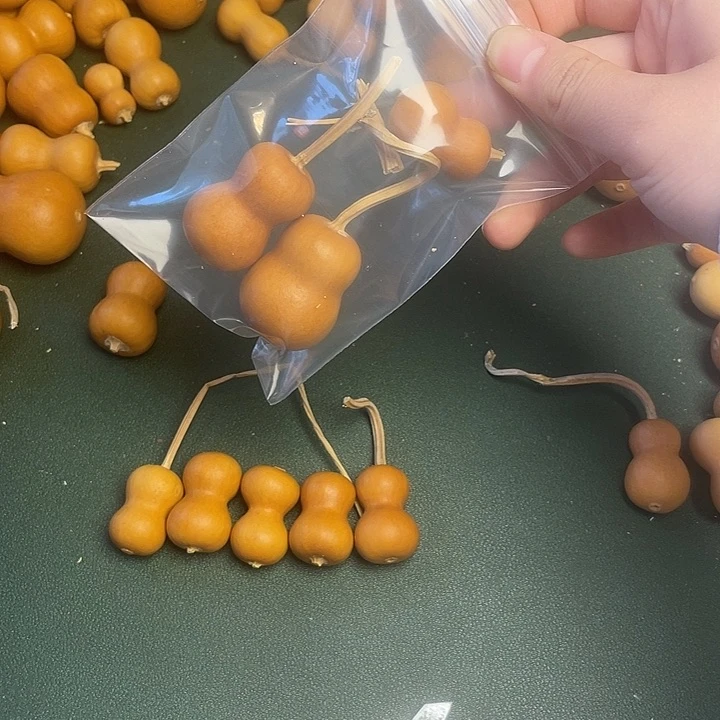 宝*专拍专拍专拍专拍