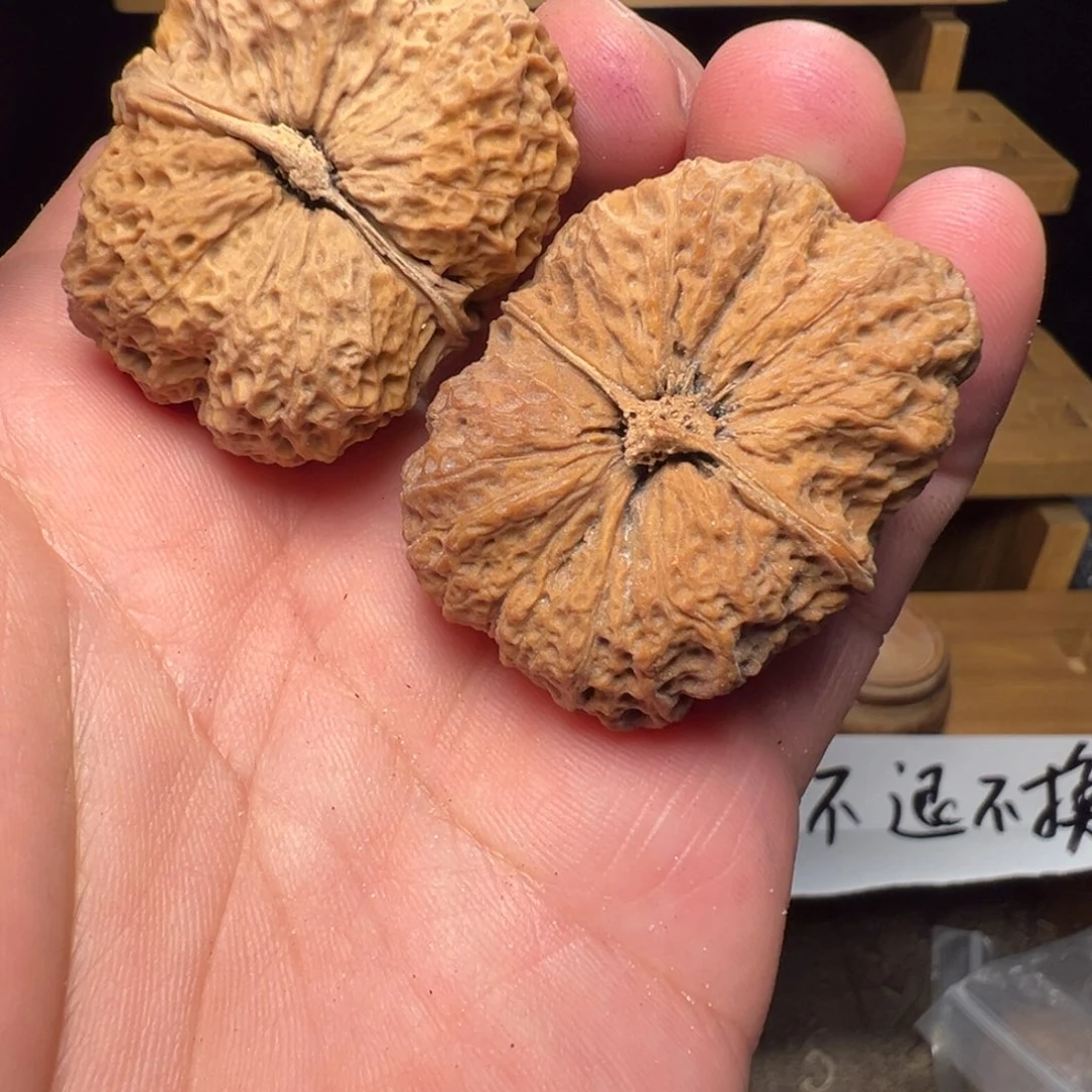 文玩核桃吊坠梅花官座41mm