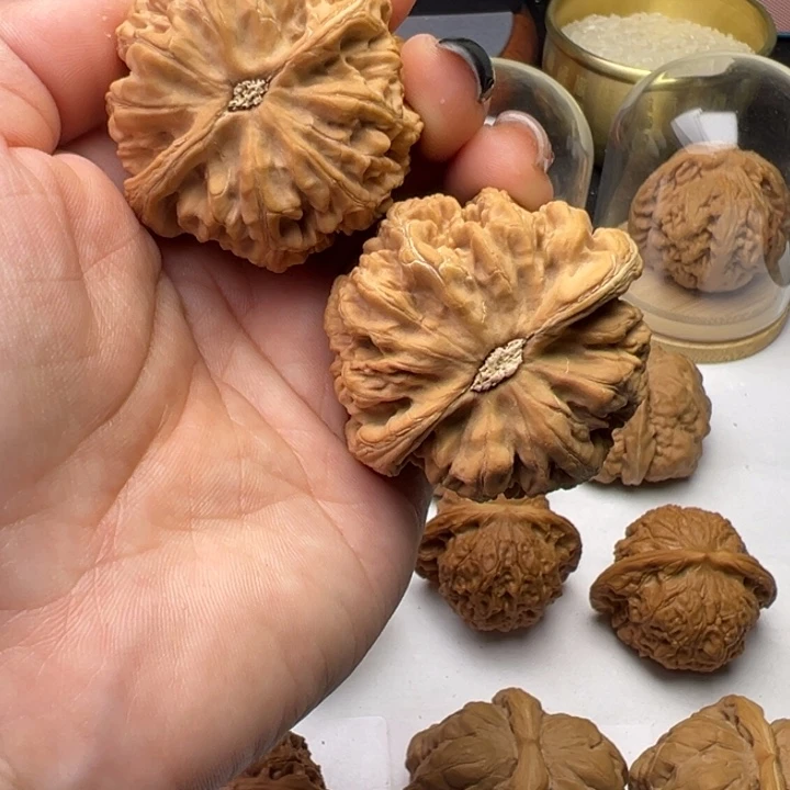 文玩核桃把件粗筋43