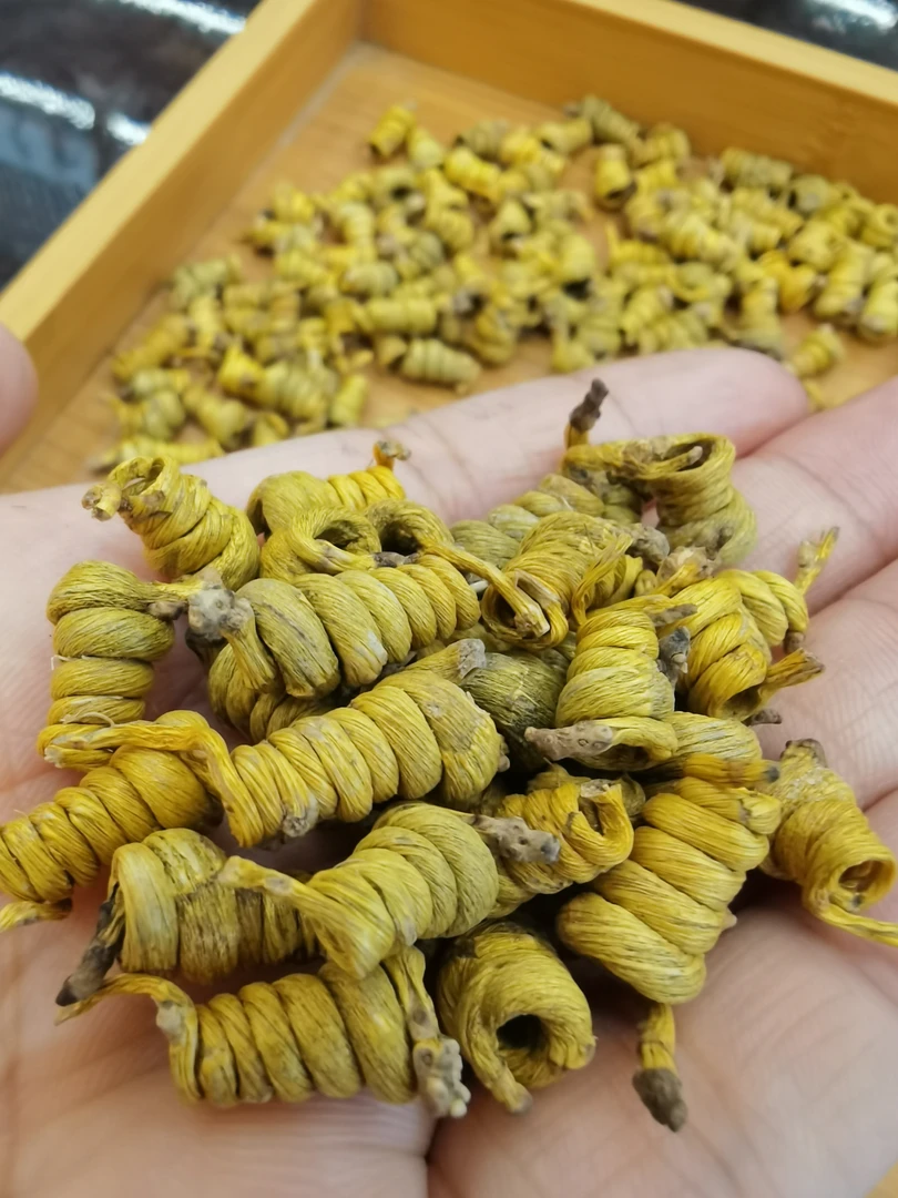 斛药林正宗霍山米斛石斛高规格高品质煲汤泡水滋补铁皮石斛