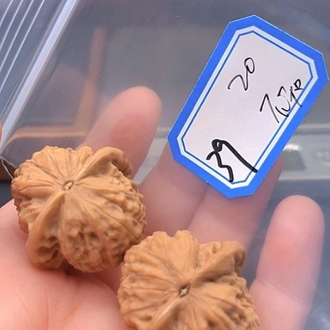 文玩核桃吊坠不**诶龙珠