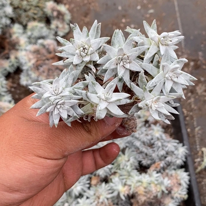 4729哈哈哈哈哈哈哈哈哈哈