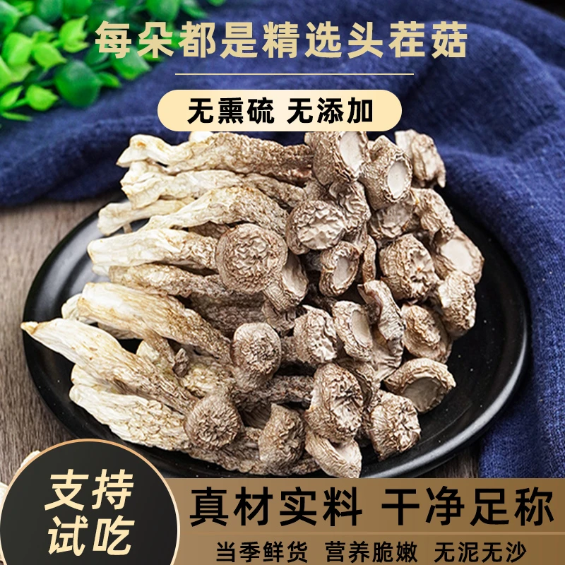 【高山鹿茸菇】农家特产古田鹿茸菇干无硫干货肥厚炒菜炖煲鸡汤食材