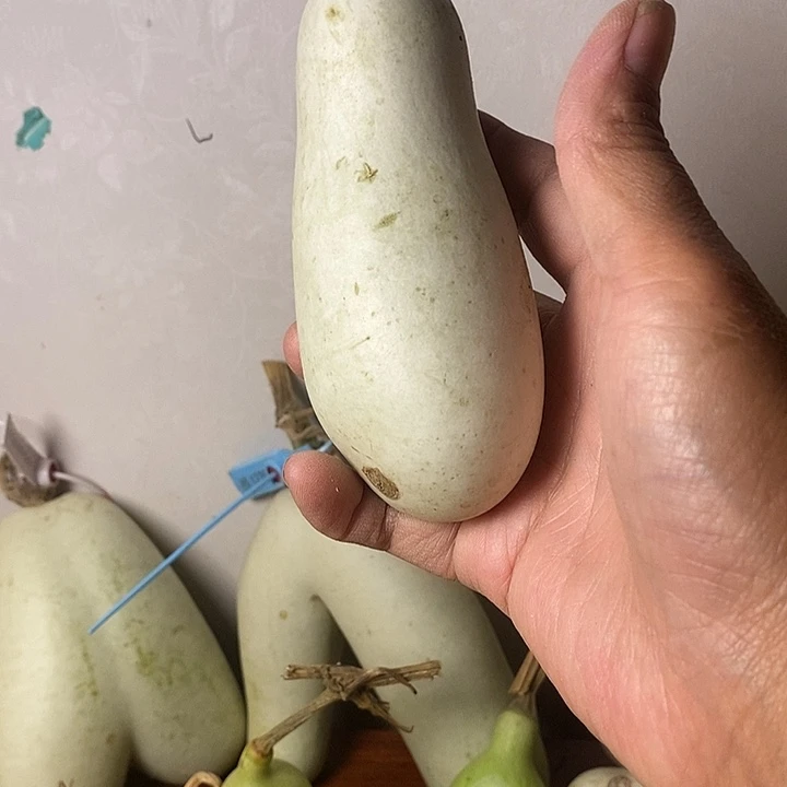 猪***嗨青皮腰子葫芦手把件摆件