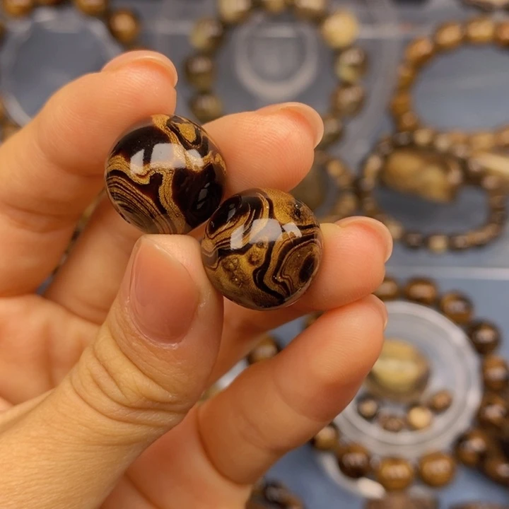 香榧木守*血柳16对眼