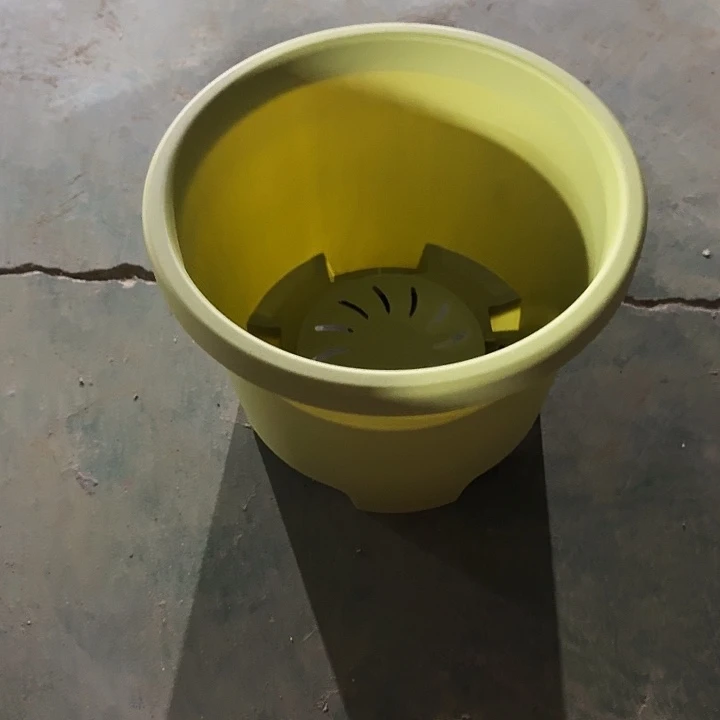 球根盆4号果绿无托5个