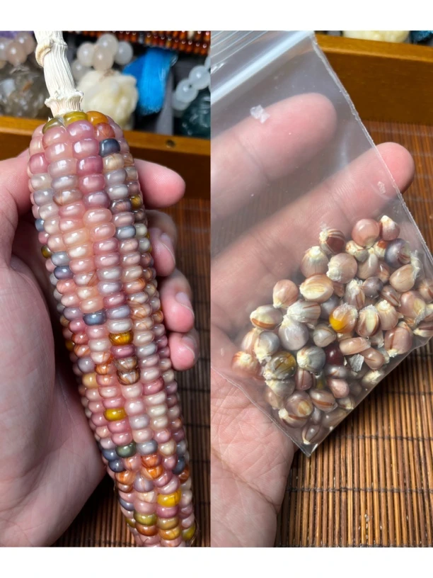 宝石小玉米粒子50颗 文玩玉米粒子