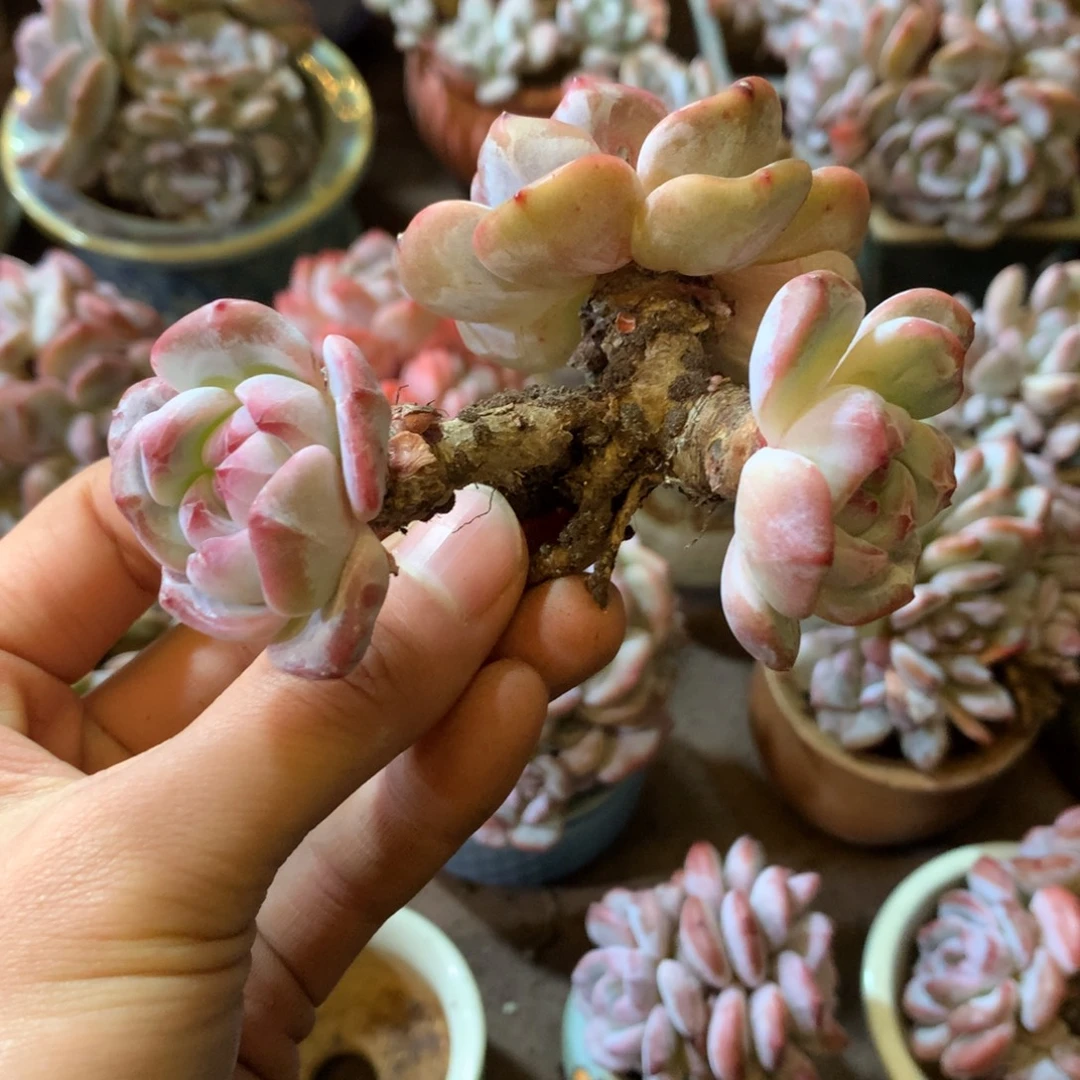 哈哈哈哈哈哈哈哈哈哈哈