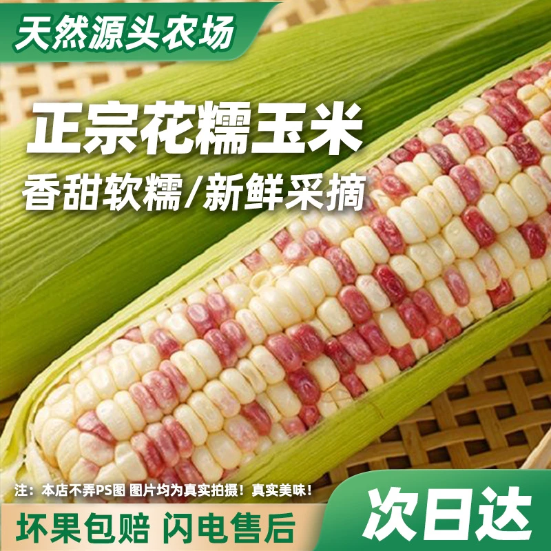【新鲜花糯玉米】香甜软糯鲜甜可口有坏必赔南汇基地发货顺丰京东包邮 3.2斤~5.5斤