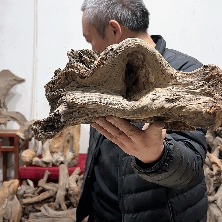 柏木山*工我们的生活是以